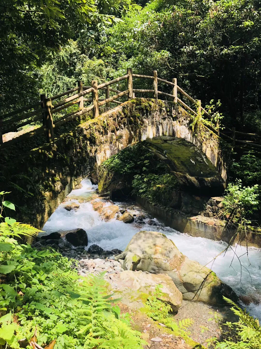 救援墨镜哥